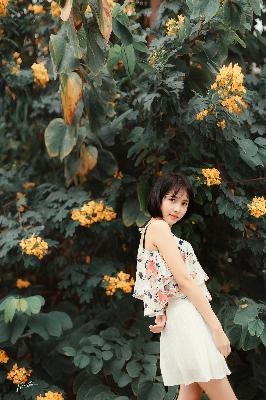 二哈和他的白猫师尊