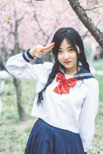 菠萝视频在线观看电视剧最新版